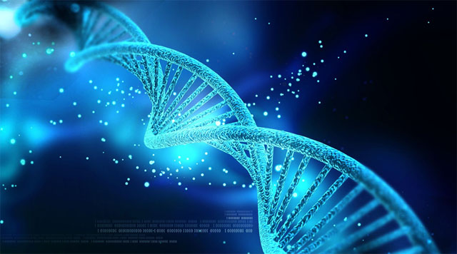 科學(xué)家繪制了大腦中潛在的基因變化以及衰老的認(rèn)知能力下降的圖譜