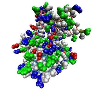 從鏡像生物學(xué)到增強(qiáng)的治療蛋白質(zhì)