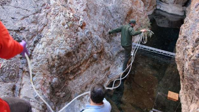 研究顯示兩個主要微生物群無法呼吸