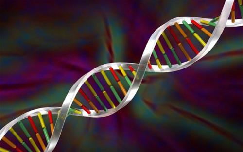 科學(xué)家已經(jīng)在新型患者的糞便中檢測(cè)到了新的RNA