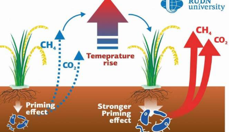 科學(xué)家表明全球變暖對稻田土壤溫室氣體排放的影響