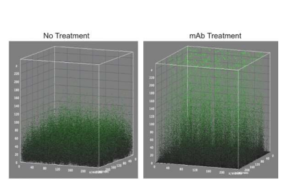 新的免疫療法策略在消除傳染性生物膜方面顯示出希望