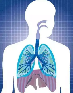 新研究可以幫助清除積壓的手術(shù) 因為它顯示了氣道裝置的使用