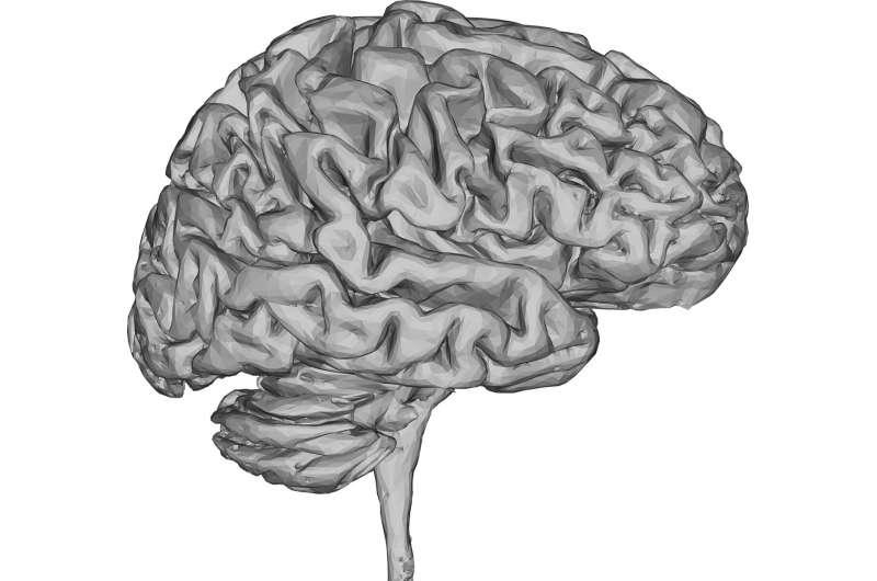 3D熱圖顯示癲癇發(fā)作如何在癲癇患者的大腦中傳播