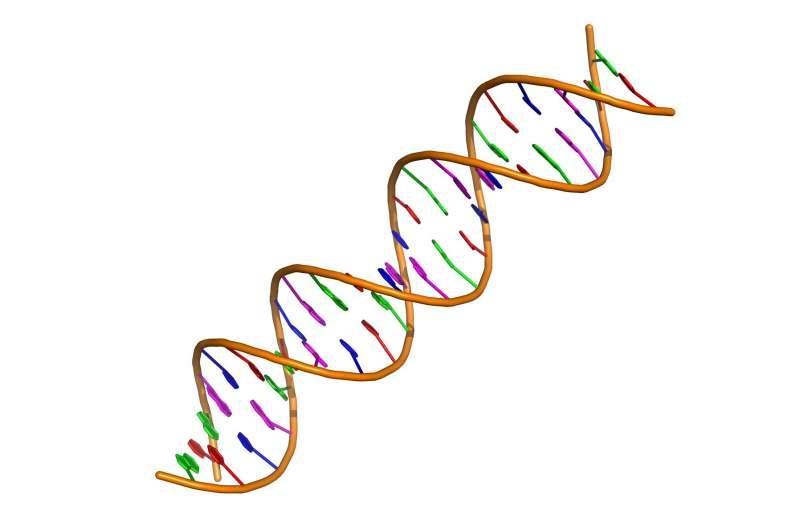 癌癥是由我們一生中細胞中積累的DNA錯誤引起的