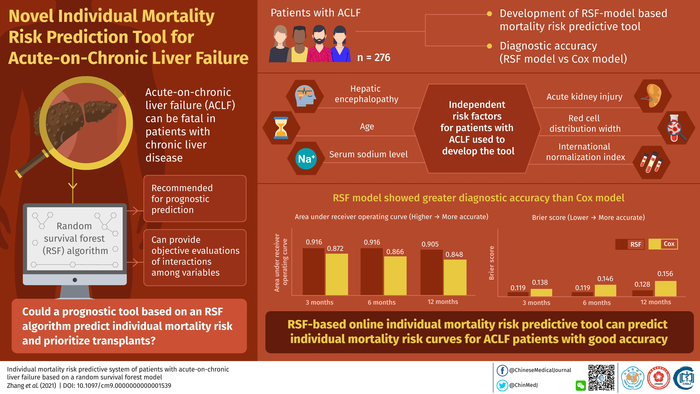 一種預(yù)測(cè)肝功能衰竭患者死亡率的新工具