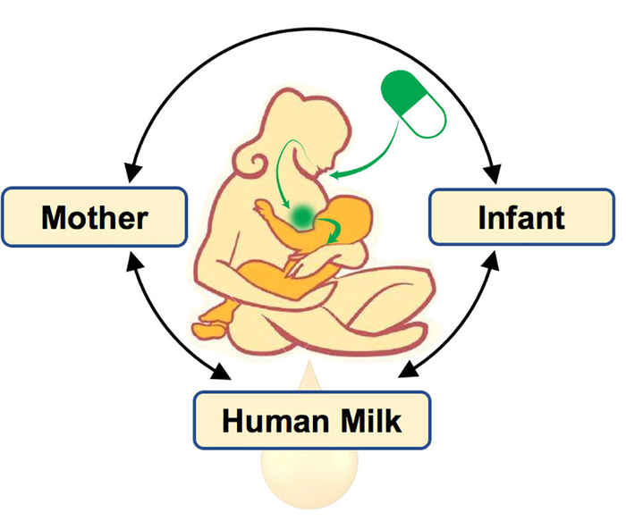 媽媽的藥物會(huì)影響她的母乳和寶寶嗎