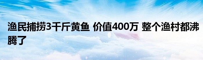 漁民捕撈3千斤黃魚 價值400萬 整個漁村都沸騰了