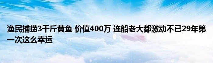 漁民捕撈3千斤黃魚(yú) 價(jià)值400萬(wàn) 連船老大都激動(dòng)不已29年第一次這么幸運(yùn)