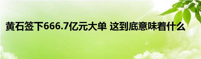 黃石簽下666.7億元大單 這到底意味著什么