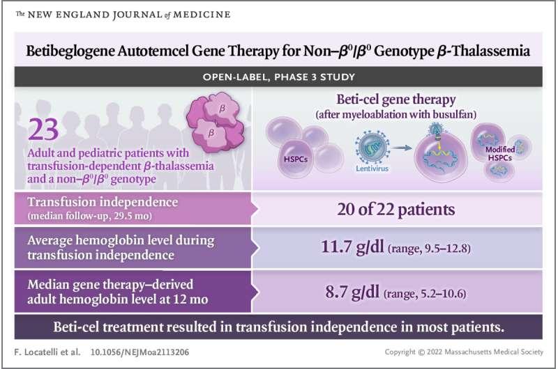 基因治療促進(jìn)嚴(yán)重β-地中海貧血的輸血獨(dú)立性
