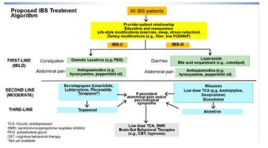 新研究概述了腸易激綜合征 (IBS) 患者的藥物治療計劃