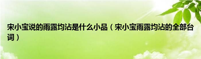 宋小寶說的雨露均沾是什么小品（宋小寶雨露均沾的全部臺詞）