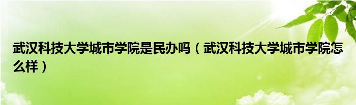 武漢科技大學城市學院是民辦嗎（武漢科技大學城市學院怎么樣）