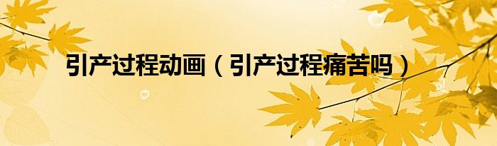 引產(chǎn)過程動畫（引產(chǎn)過程痛苦嗎）