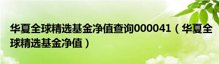 華夏全球精選基金凈值查詢000041（華夏全球精選基金凈值）