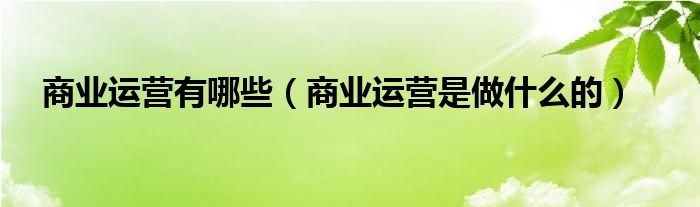 商業(yè)運(yùn)營有哪些（商業(yè)運(yùn)營是做什么的）