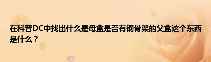 在科普DC中找出什么是母盒是否有鋼骨架的父盒這個(gè)東西是什么？