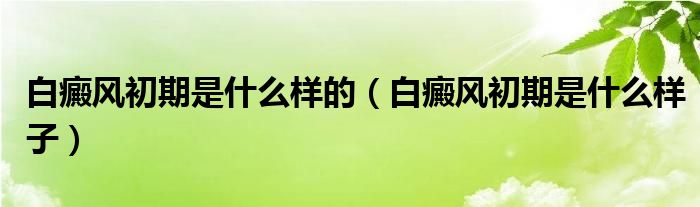 白癜風(fēng)初期是什么樣的（白癜風(fēng)初期是什么樣子）