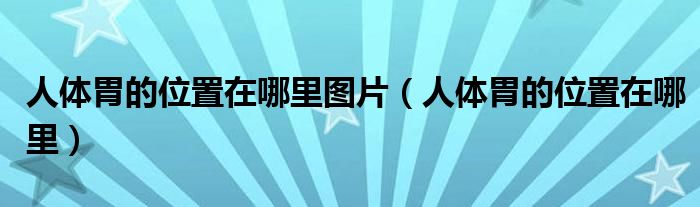 人體胃的位置在哪里圖片（人體胃的位置在哪里）