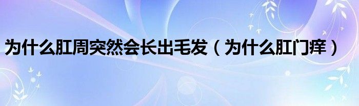 為什么肛周突然會(huì)長出毛發(fā)（為什么肛門癢）