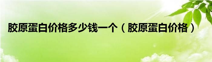 膠原蛋白價格多少錢一個（膠原蛋白價格）