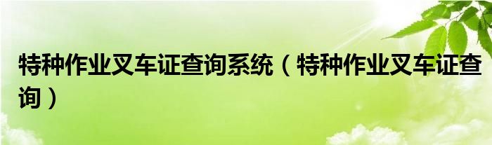 特種作業(yè)叉車(chē)證查詢系統(tǒng)（特種作業(yè)叉車(chē)證查詢）