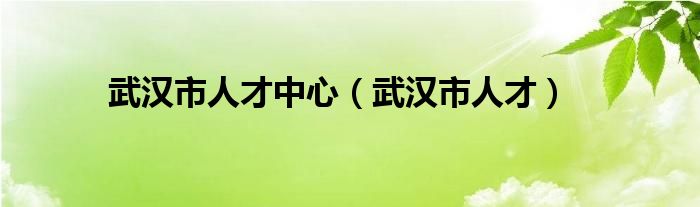 武漢市人才中心（武漢市人才）