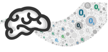 檢測大腦耗氧量的新方法