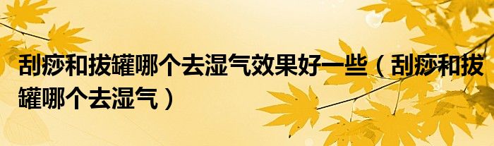 刮痧和拔罐哪個去濕氣效果好一些（刮痧和拔罐哪個去濕氣）