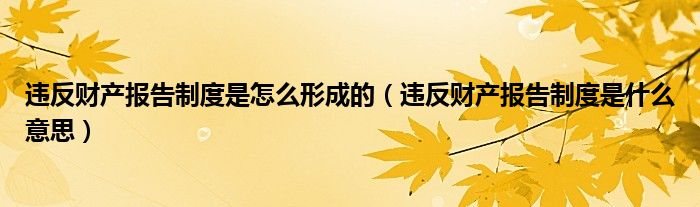 違反財(cái)產(chǎn)報(bào)告制度是怎么形成的(違反財(cái)產(chǎn)報(bào)告制度是什么意思)