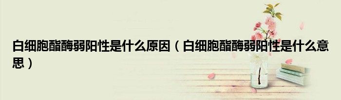 白細胞酯酶弱陽性是什么原因（白細胞酯酶弱陽性是什么意思）
