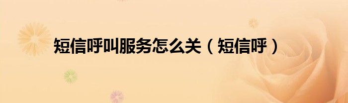 短信呼叫服務怎么關（短信呼）