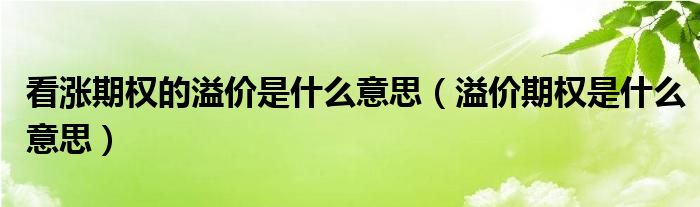看漲期權(quán)的溢價(jià)是什么意思(溢價(jià)期權(quán)是什么意思)