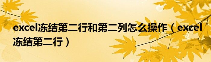excel凍結(jié)第二行和第二列怎么操作（excel凍結(jié)第二行）