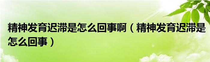 精神發(fā)育遲滯是怎么回事?。ň癜l(fā)育遲滯是怎么回事）