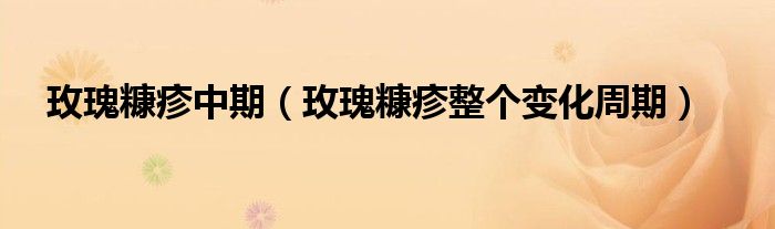 玫瑰糠疹中期（玫瑰糠疹整個變化周期）