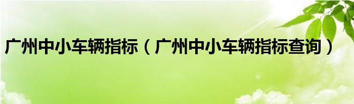 廣州中小車輛指標（廣州中小車輛指標查詢）
