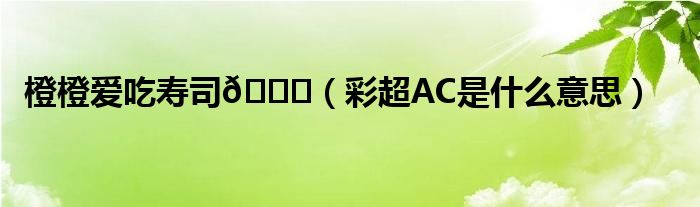 橙橙愛吃壽司