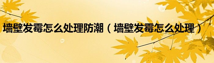 墻壁發(fā)霉怎么處理防潮（墻壁發(fā)霉怎么處理）