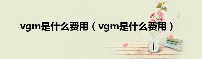 vgm是什么費(fèi)用（vgm是什么費(fèi)用）