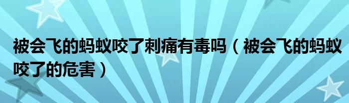 被會(huì)飛的螞蟻咬了刺痛有毒嗎（被會(huì)飛的螞蟻咬了的危害）