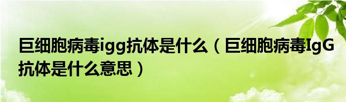 巨細(xì)胞病毒igg抗體是什么（巨細(xì)胞病毒IgG抗體是什么意思）