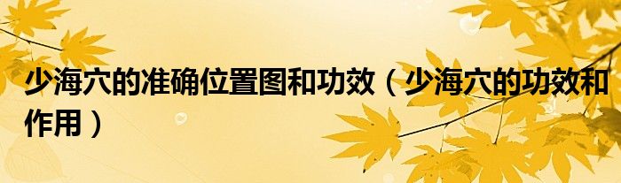 少海穴的準確位置圖和功效（少海穴的功效和作用）
