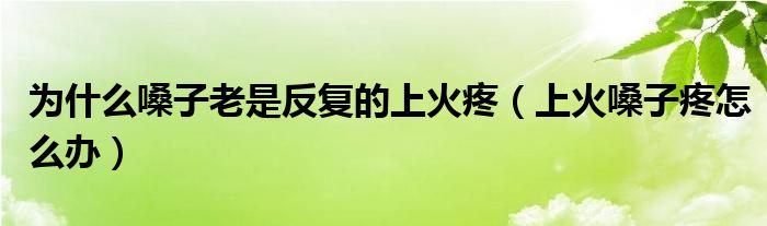 為什么嗓子老是反復(fù)的上火疼（上火嗓子疼怎么辦）