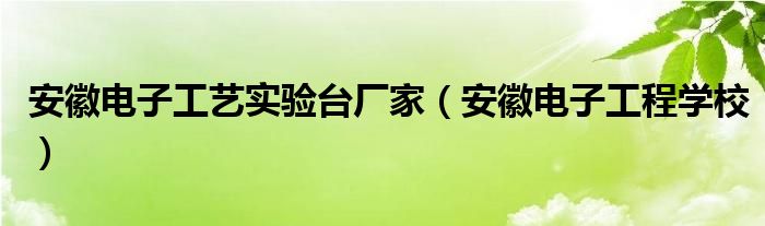 安徽電子工藝實驗臺廠家（安徽電子工程學校）