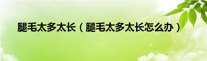 腿毛太多太長(zhǎng)（腿毛太多太長(zhǎng)怎么辦）