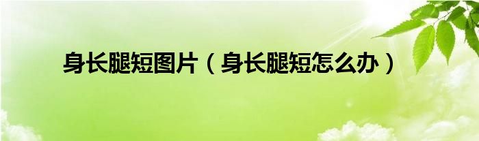 身長(zhǎng)腿短圖片（身長(zhǎng)腿短怎么辦）