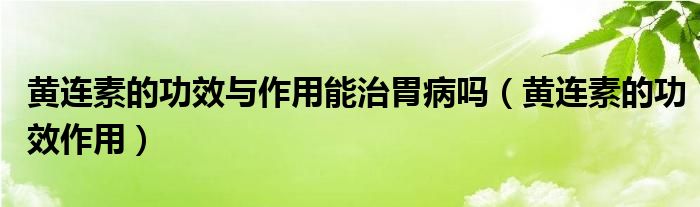 黃連素的功效與作用能治胃病嗎（黃連素的功效作用）