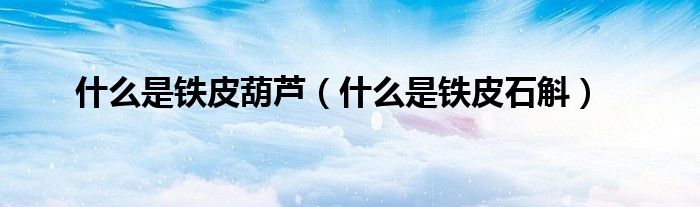 什么是鐵皮葫蘆（什么是鐵皮石斛）